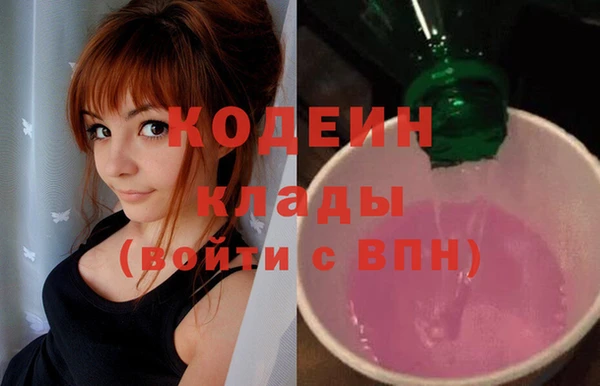 PSILOCYBIN Алзамай