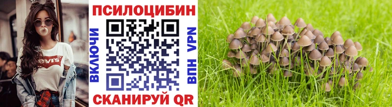 где купить наркоту  Коряжма  Псилоцибиновые грибы мицелий 