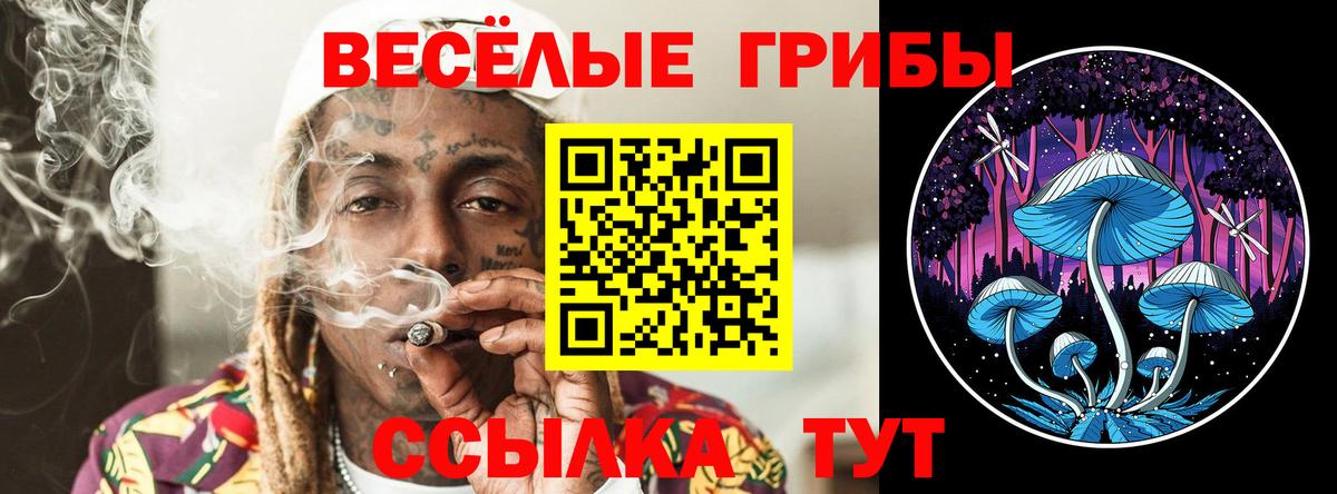 Галлюциногенные грибы Psilocybine cubensis Коряжма