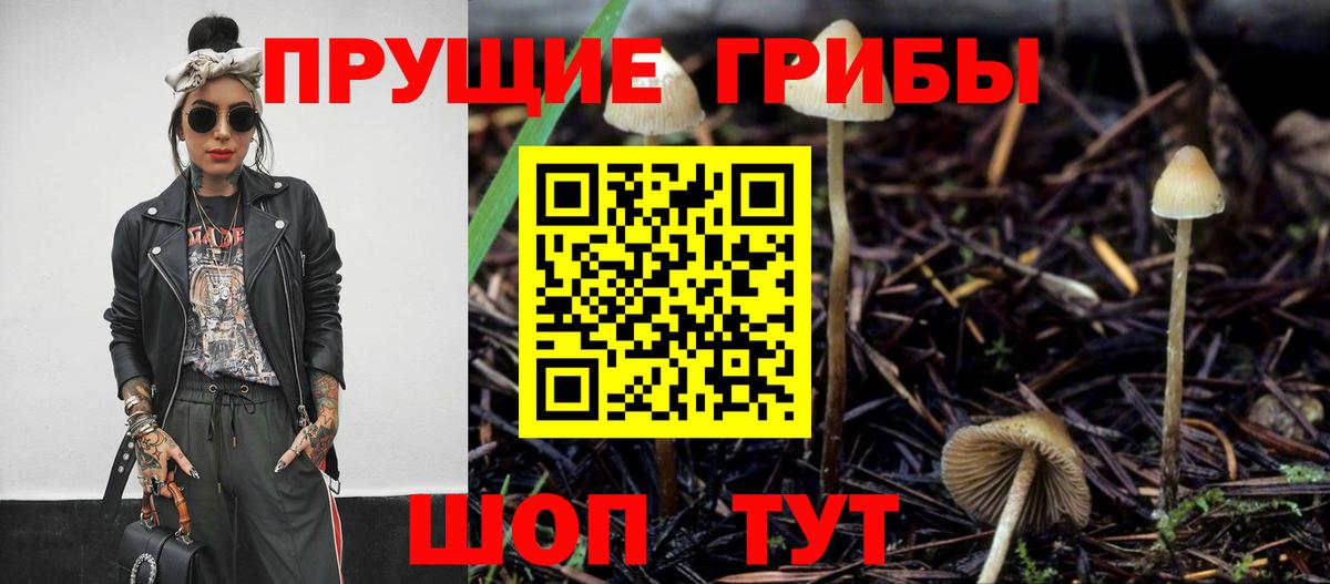 Коряжма  Галлюциногенные грибы Cubensis  Галлюциногенные грибы Psilocybe  Вход с VPN 