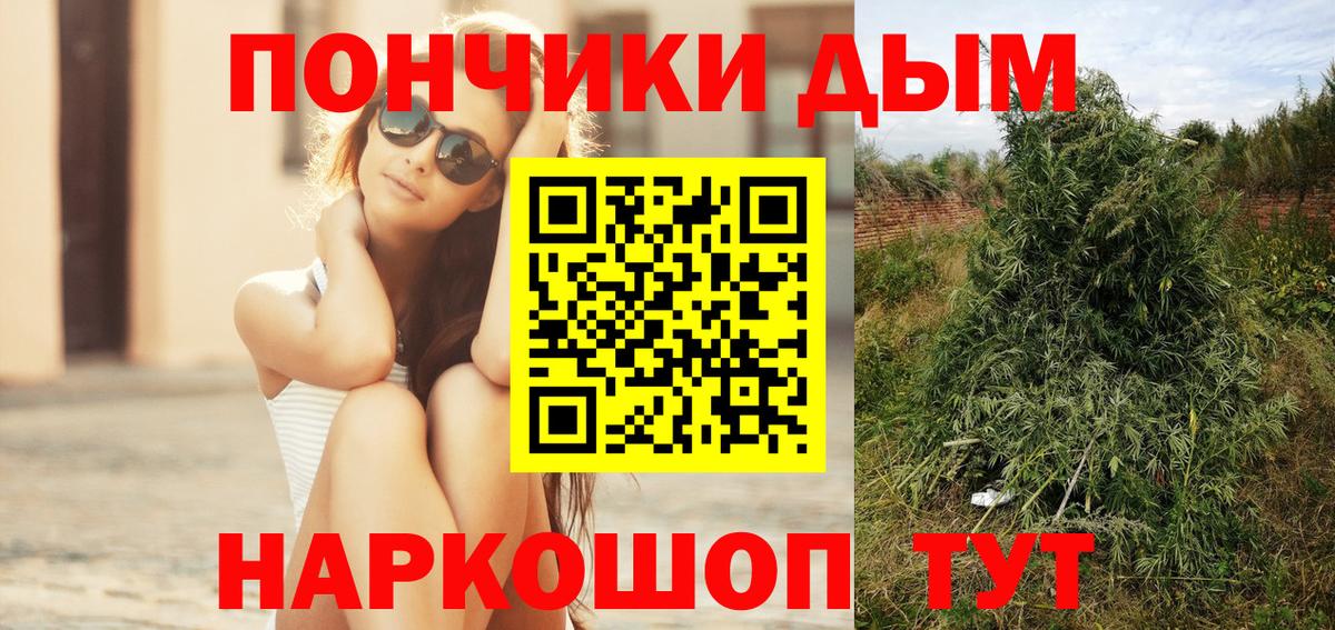 Бошки Шишки семена Коряжма